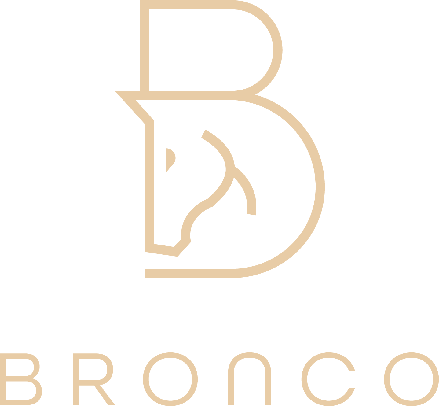 Bronco