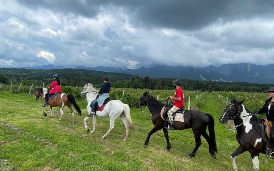 C4929260 45a7 42b0 B5ec 6cd57ac3d550